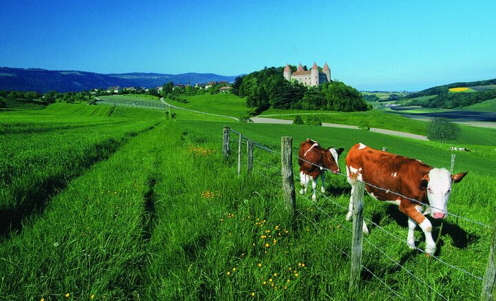 Sous-arrondissement Jura-Nord vaudois